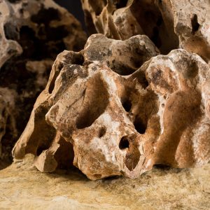 Moonstone 10-50 cm (kg) - Everstone piatra naturala everstone.ro