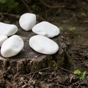 Pebbles Marmură Thassos (sac 20 kg) - Everstone piatra naturala everstone.ro